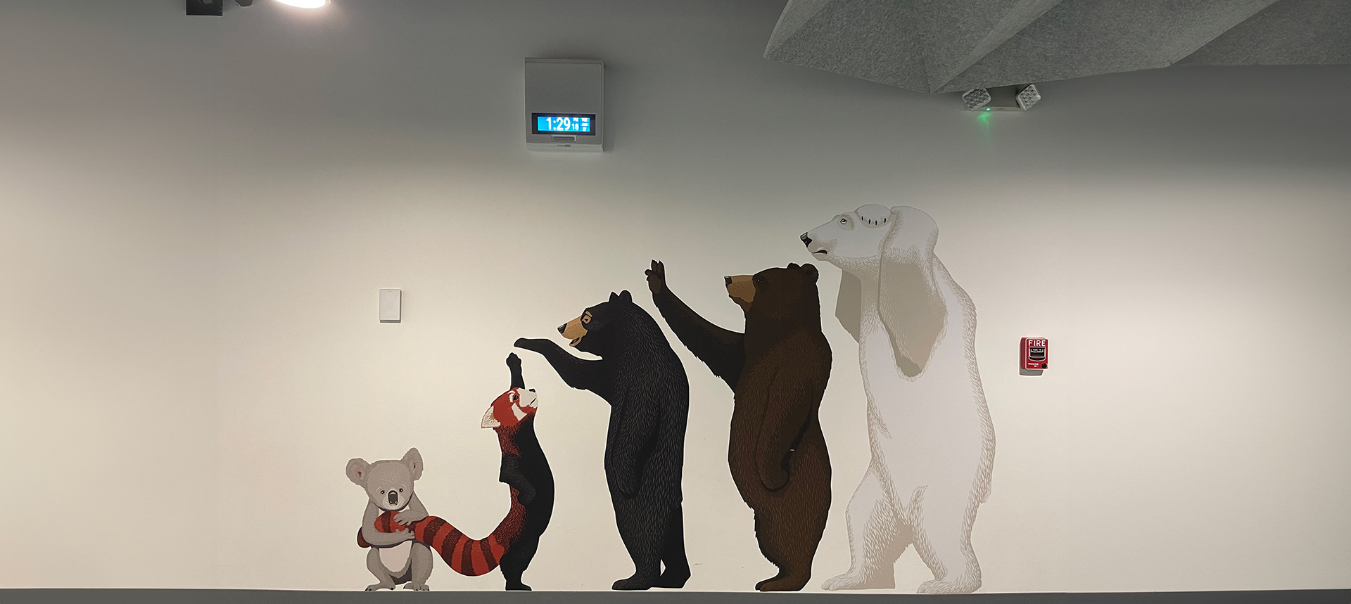 Bears on a wall in North Syracuse Central School District